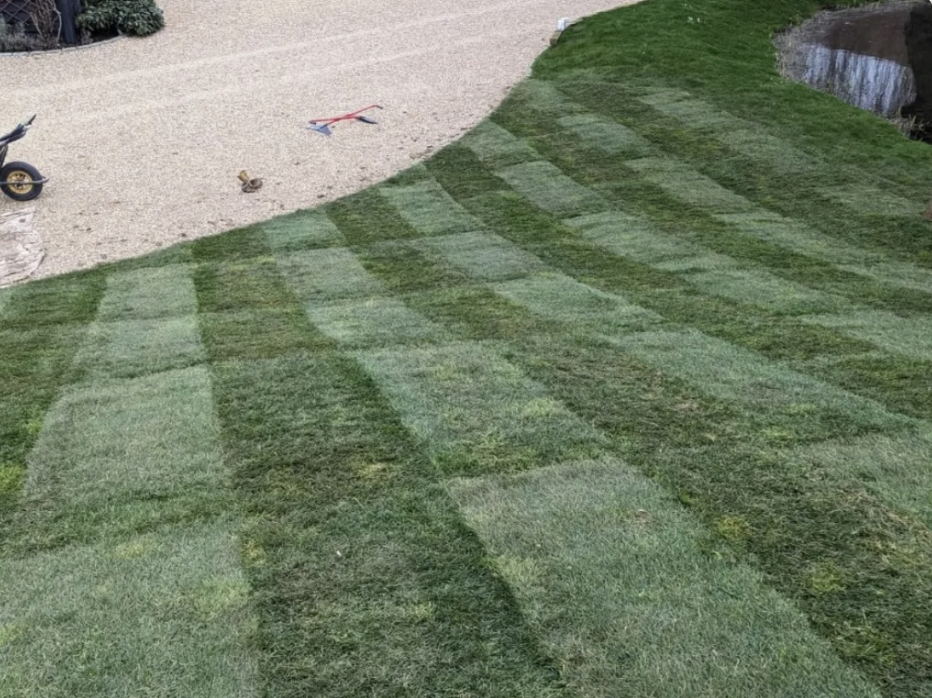 Grass Maintenance