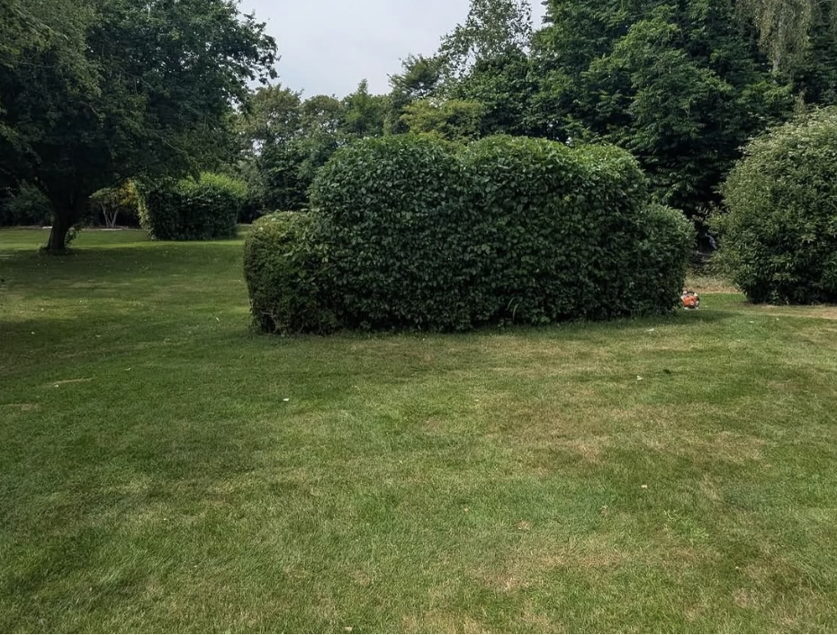 Monthly Garden Maintenance